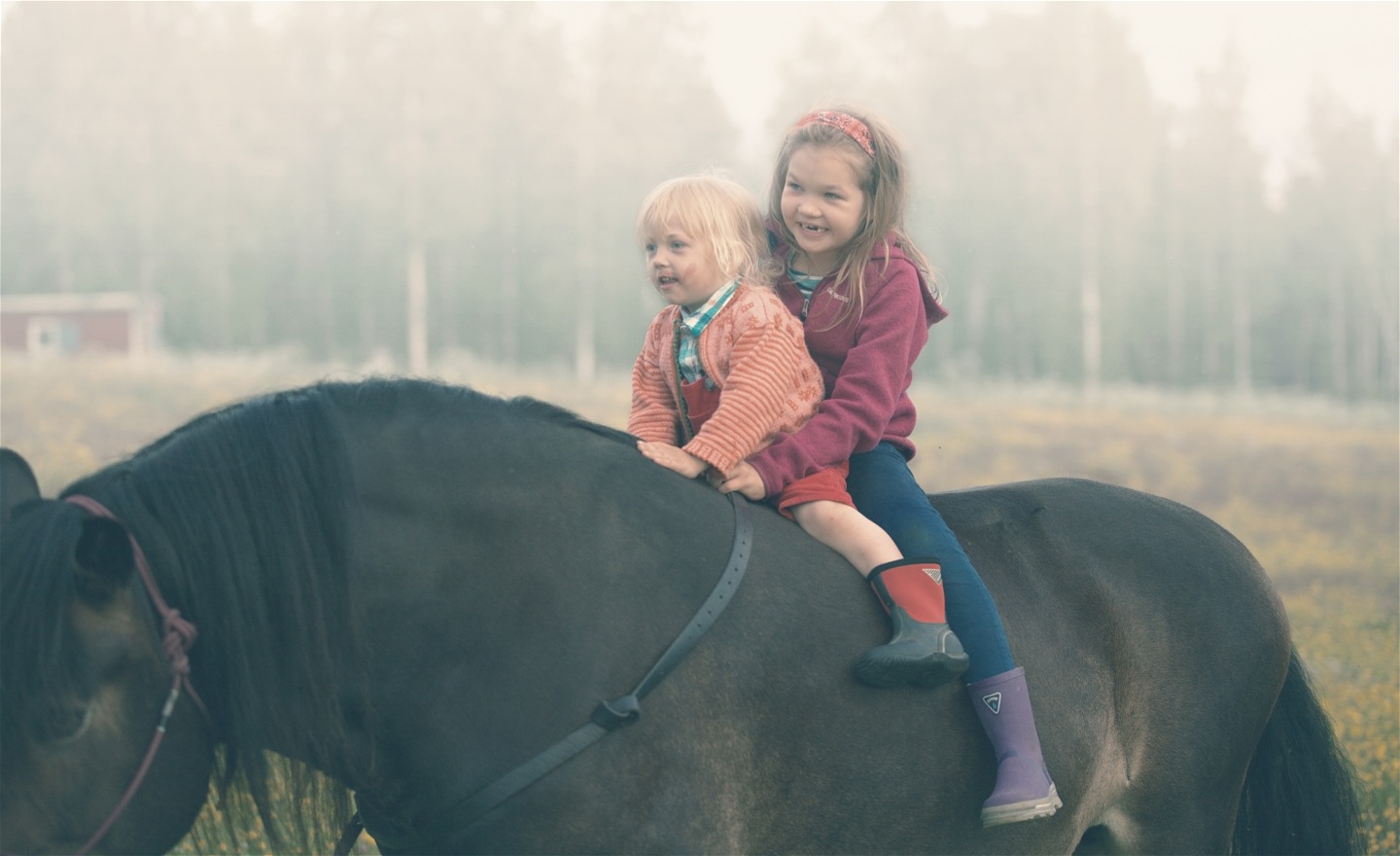 Flicka sitter bakom sin lillebror på en hästrygg. Det är dimmigt väder.