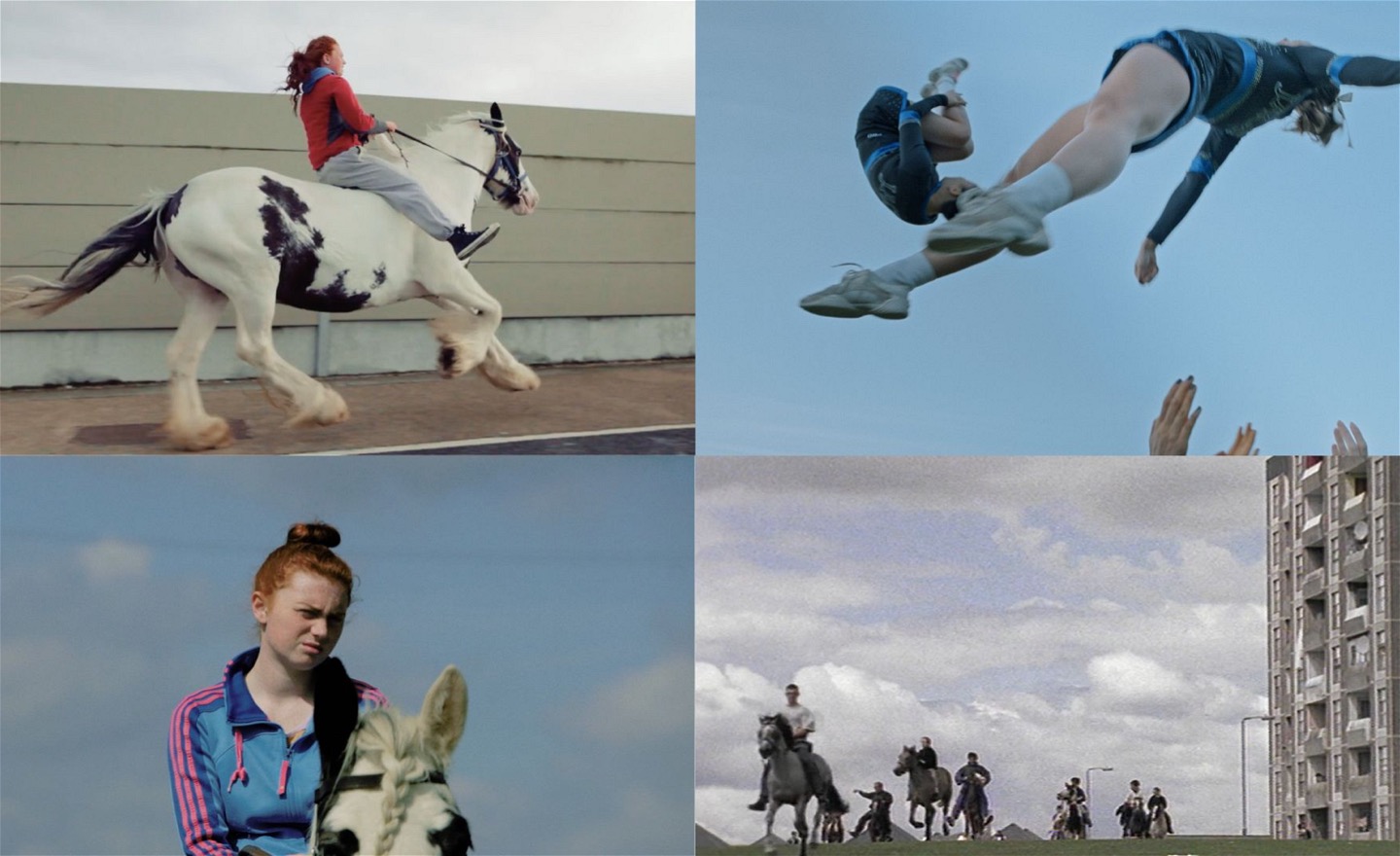 Bildkollage med fyra motiv; tjej på häst, cheerleaders i ett kast, tjej på häst och personer som rider på en gräsmatta