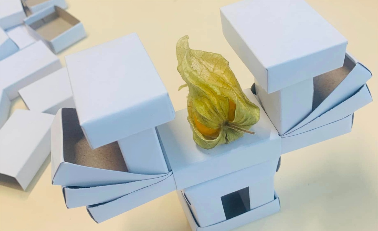 Karin Hvid Rydell och Matilda Stannow 